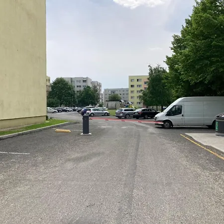 Papiniidu * Pärnu